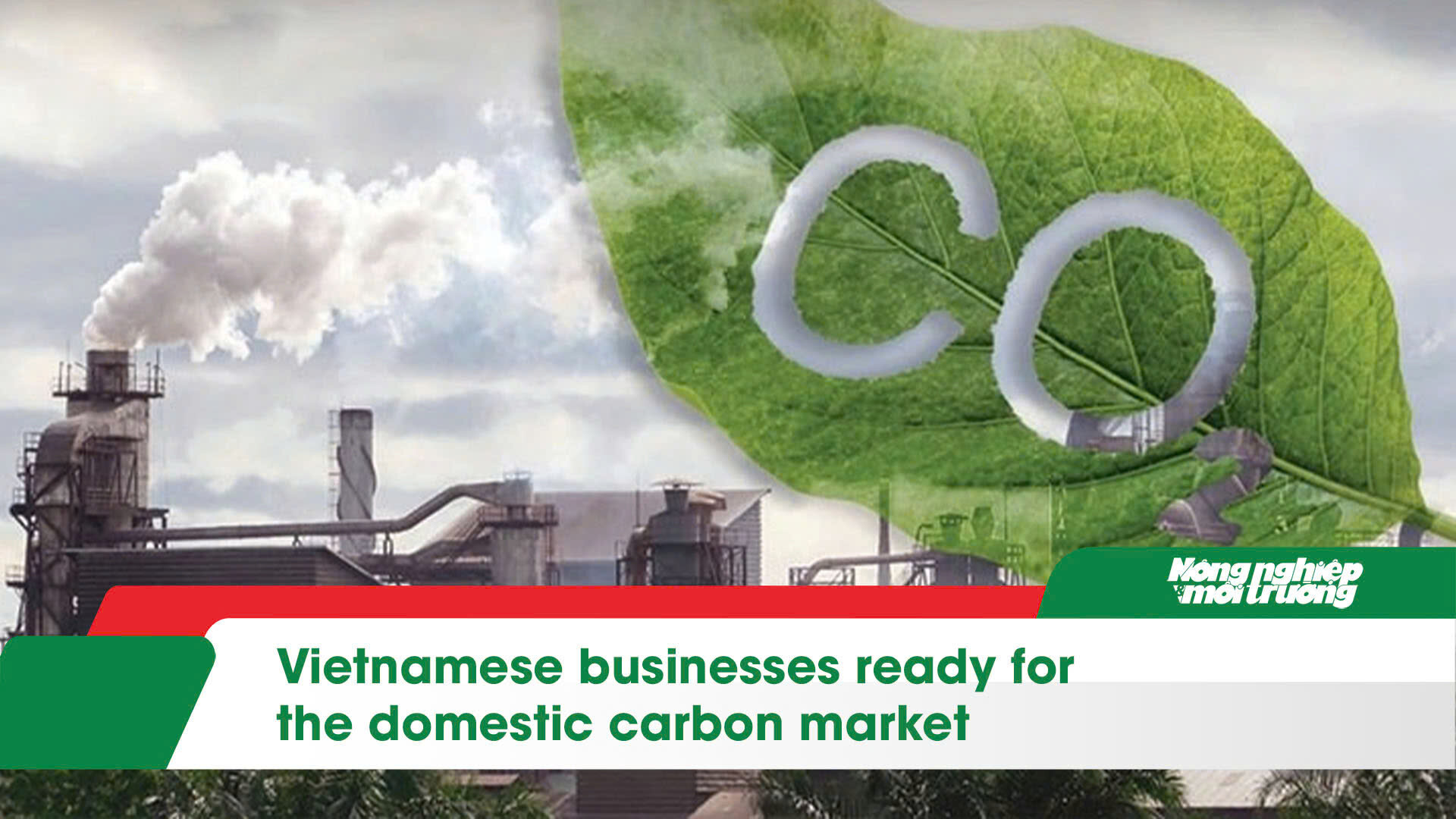 Vietnamese businesses ready for the domestic carbon market